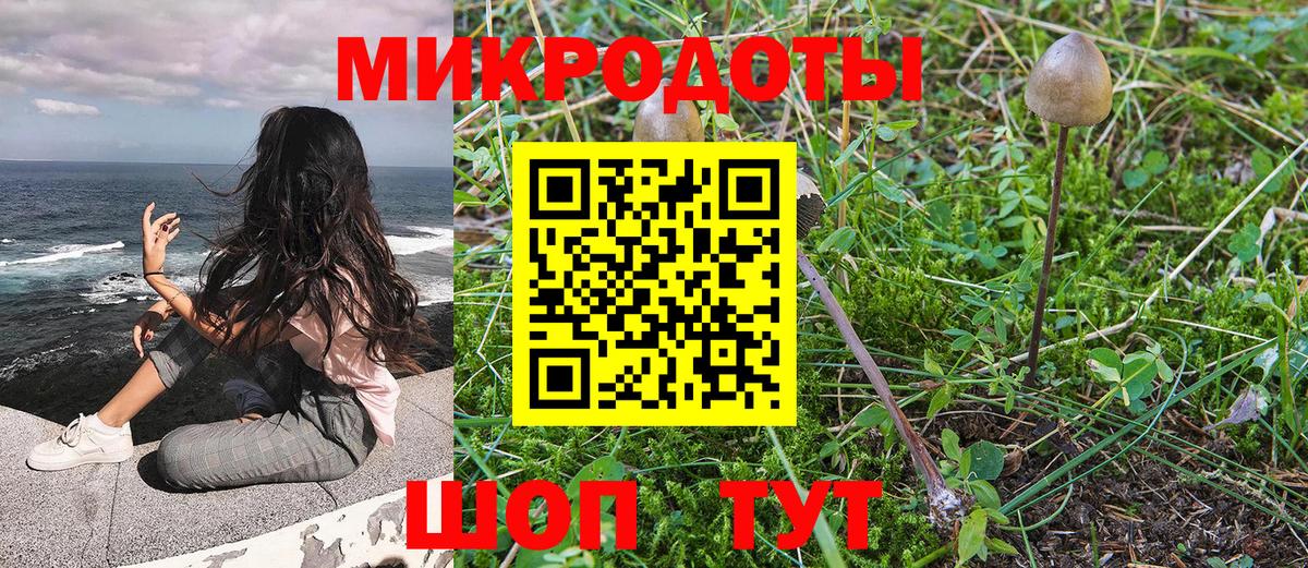 Галлюциногенные грибы мухоморы  Вход с VPN  Галлюциногенные грибы ЛСД  Качканар 